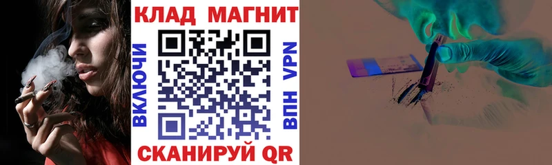МЕФ Кадников