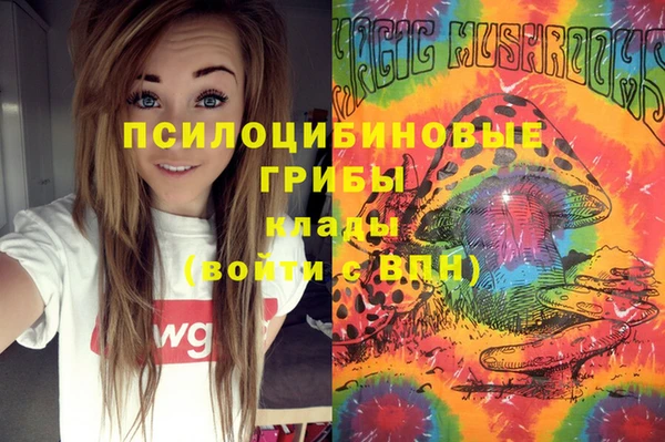 тгк Усмань