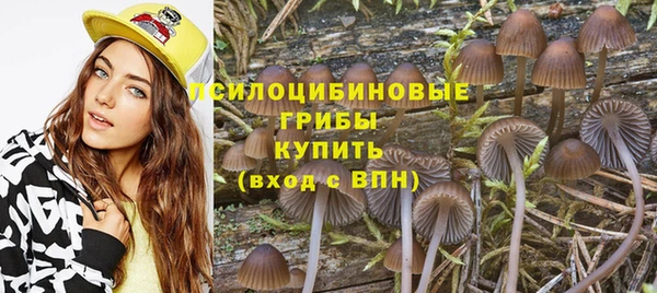 ECSTASY Абдулино