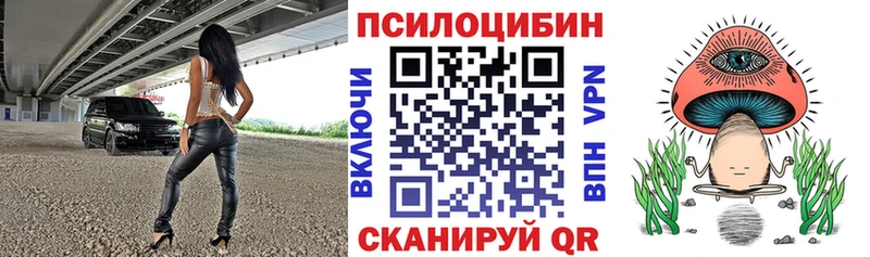 shop Telegram  Кадников  Псилоцибиновые грибы GOLDEN TEACHER  даркнет сайт 